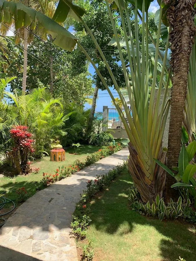 Beach Hotel Casa Nina Las Terrenas