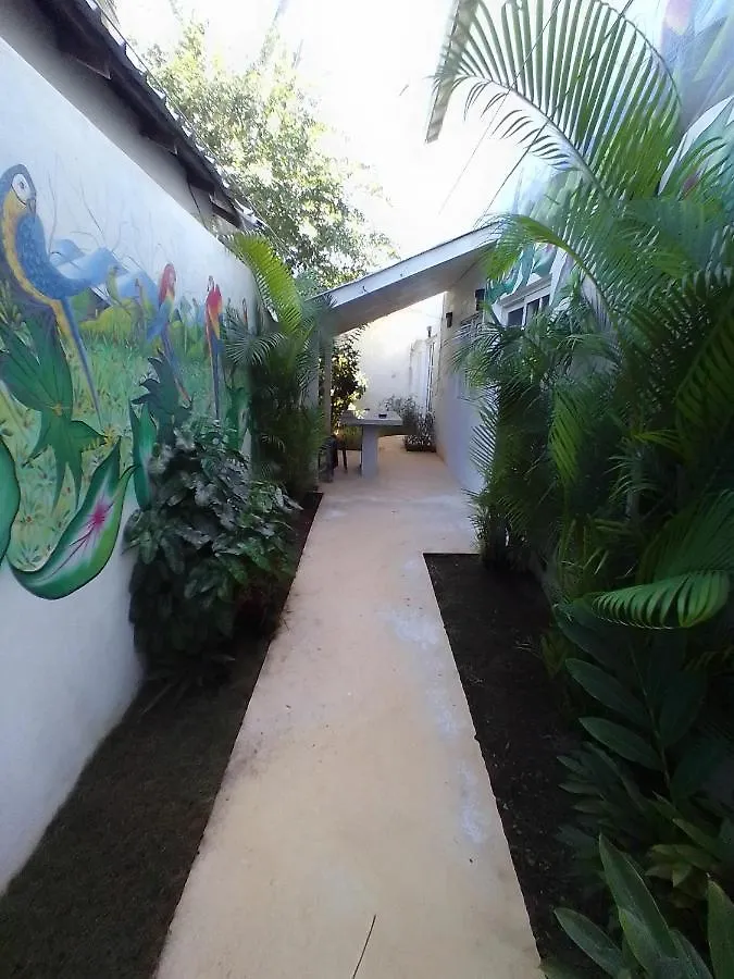 Beach Hotel Casa Nina 拉斯特拉纳斯