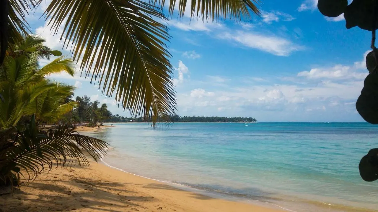 Beach Hotel Casa Nina Las Terrenas 3*,  Dominicaanse Republiek